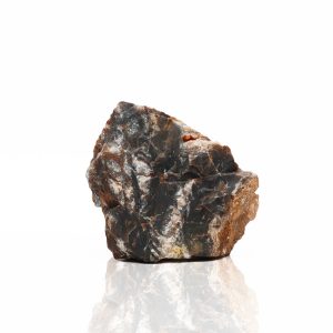 AMTRA ROCCIA PETRIFIED