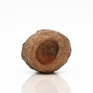 AMTRA ROCCIA UOVA DI DINOSAURO