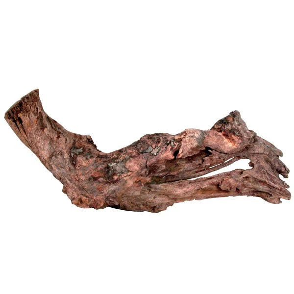 Legno Mangrovia 15/25 cm – Legno decorativo naturale per acquari - immagine 3