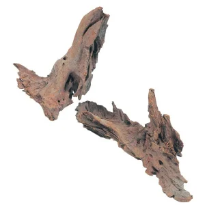 Legno Mangrovia 25/40 cm – Legno decorativo naturale per acquari