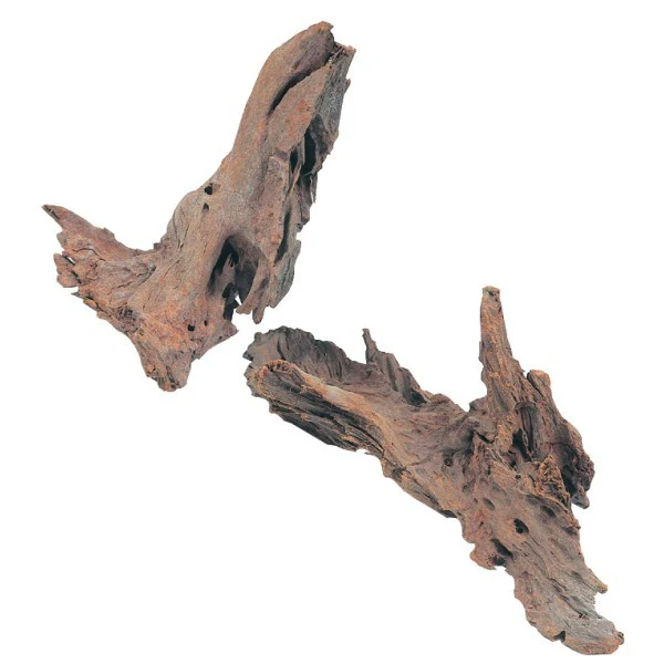 Legno Mangrovia 25/40 cm – Legno decorativo naturale per acquari - immagine 2