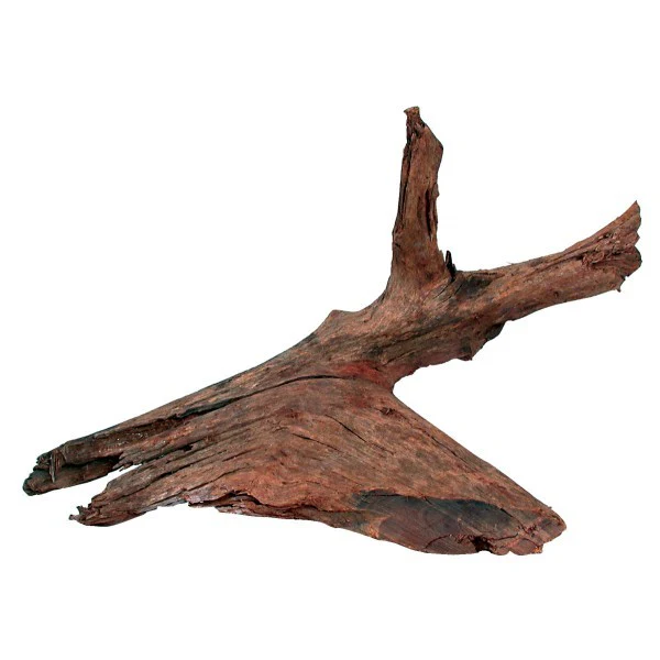 Legno Mangrovia 25/40 cm – Legno decorativo naturale per acquari - immagine 3