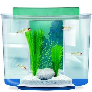 Acquario Marina Splash