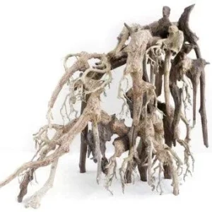 Legno Oriental Wind-1 sm