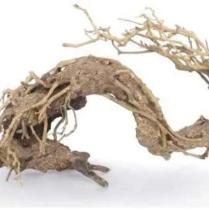 Legno Oriental Wind-2 sm