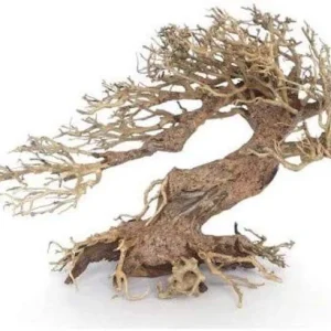 Legno Oriental Wind-3 sm