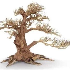 Legno Oriental Wind-4 md