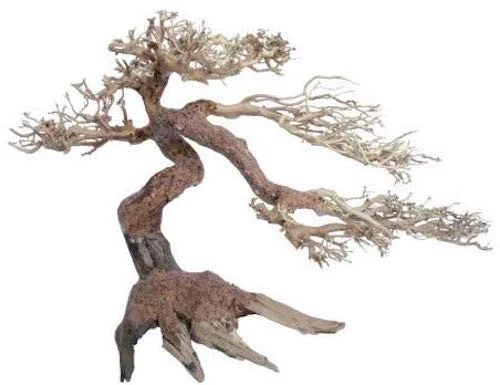 Legno Oriental Wind-5 sm