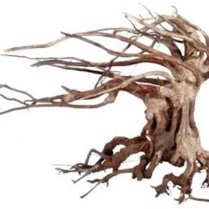 Legno Oriental Wind-6 md