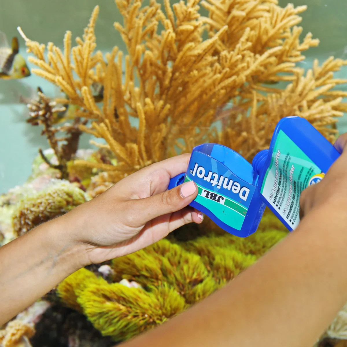 JBL Denitrol 250 ml - immagine 5