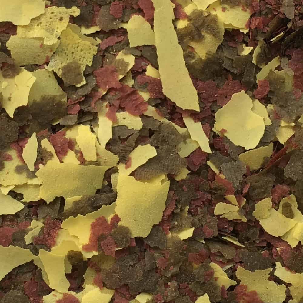 AMTRA PRO ORANDA FLAKE - immagine 3