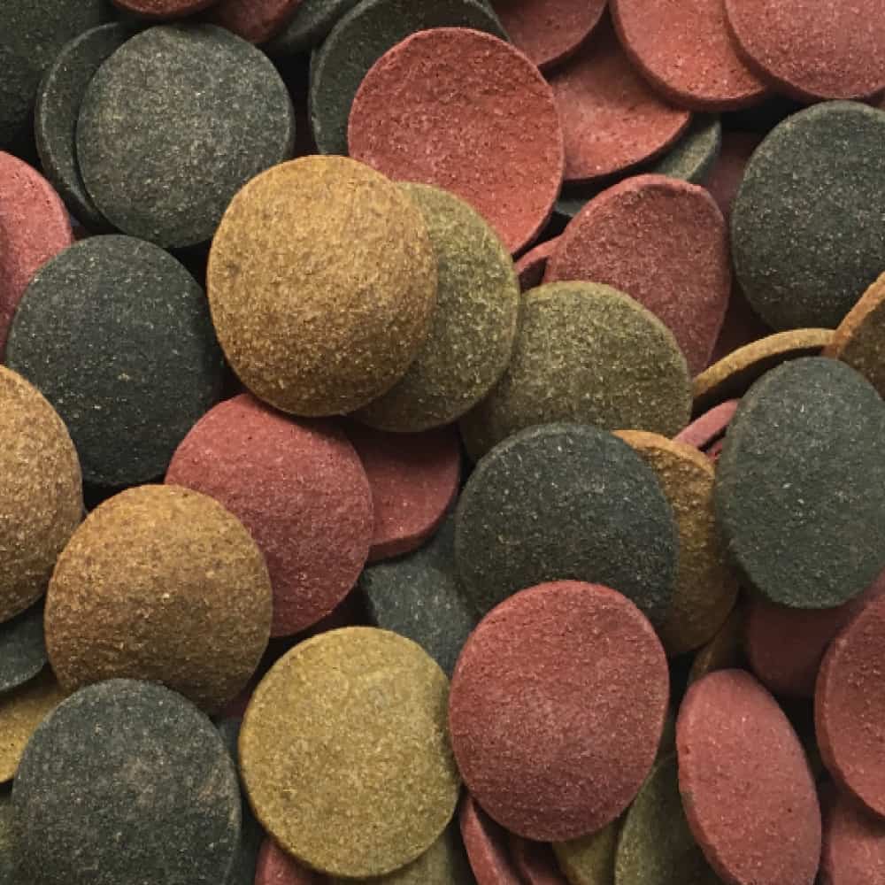 AMTRA PRO CHIPS - immagine 3