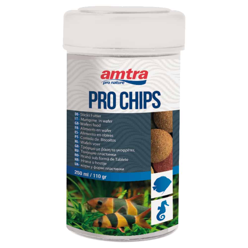 AMTRA PRO CHIPS - immagine 4