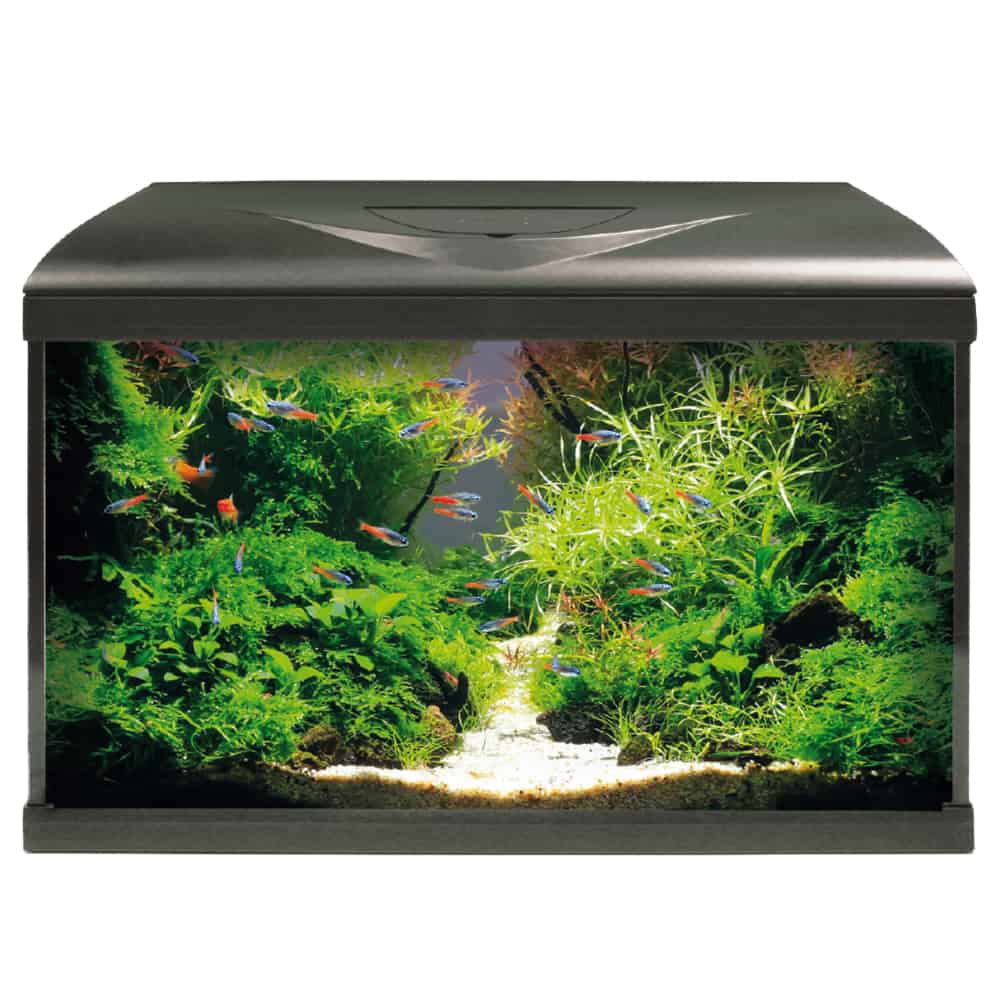 ACQUARIO AMTRA SYSTEM TANK V2 60 LED BLACK E MOBILE PER ACQUARIO - immagine 4