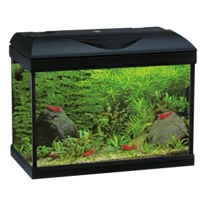 Acquario BASIC LED con filtro interno 25L, 55L, 85L – Bianco o Nero