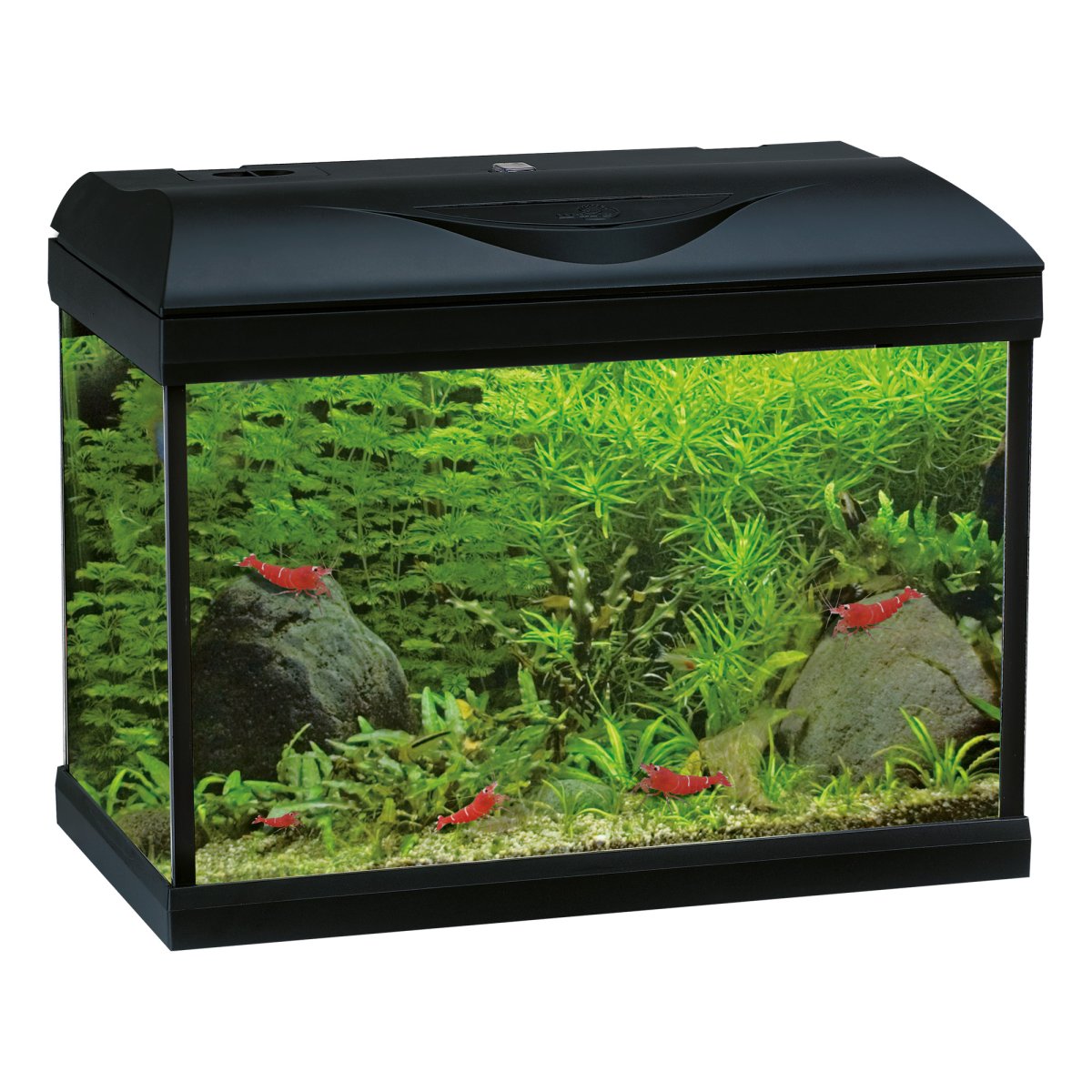 Acquario BASIC LED con filtro interno 25L, 55L, 85L – Bianco o Nero - immagine 2