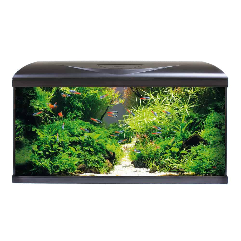 ACQUARIO AMTRA SYSTEM TANK V2 80 LED CON FILTRO BOX 150 RISCALDATORE E SFONDO 3D - immagine 3