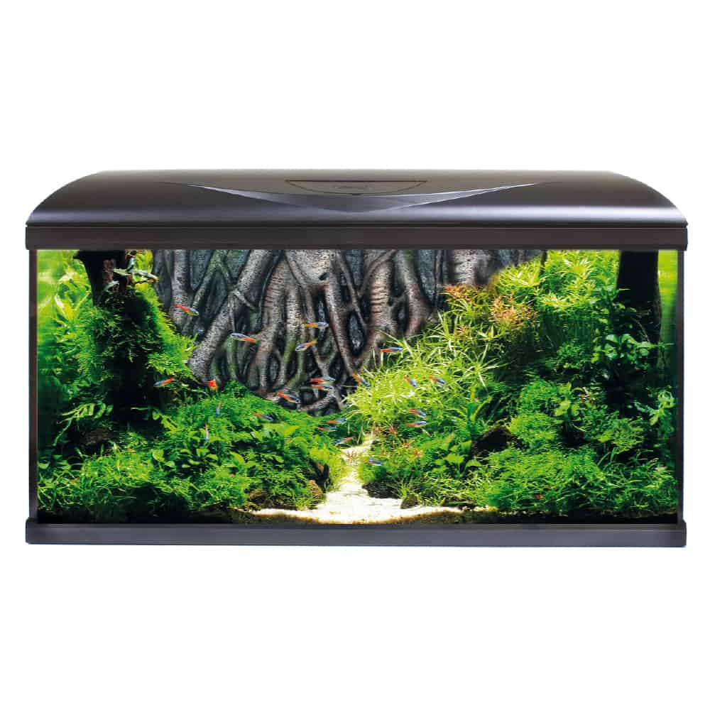 ACQUARIO AMTRA SYSTEM TANK V2 80 LED SFONDO 3D E MOBILE PER ACQUARIO - immagine 4