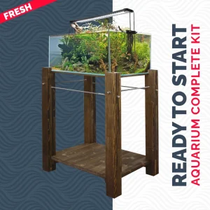 AMTRA SHALLOW 75×50 NOCE   SCURO COMBI