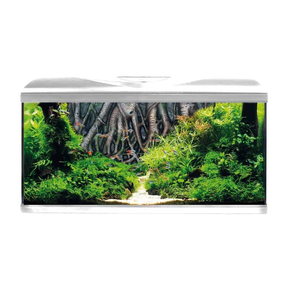 AMTRA SYSTEM TANK V2 80 LED ROOT - immagine 2