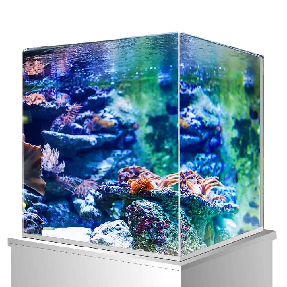 AMTRA NANOSCAPING - immagine 5