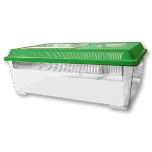 AMTRA BOXLIFE FLAT LARGE