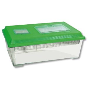 AMTRA BOXLIFE FLAT JUMBO