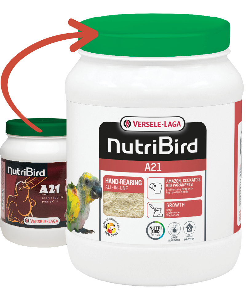 NEW NUTRIBIRD A21 800gr pappa da imbecco giovani pappagalli