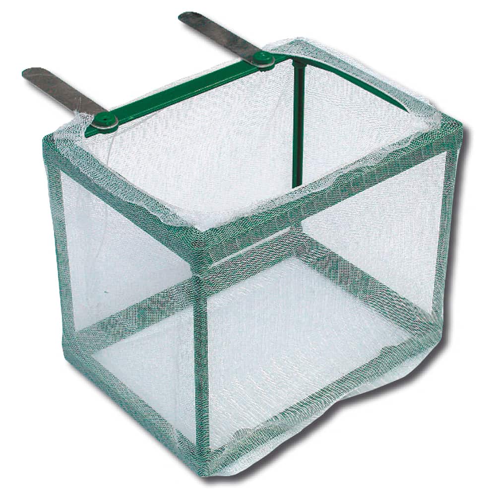 AMTRA SALA PARTO IN RETE - immagine 2