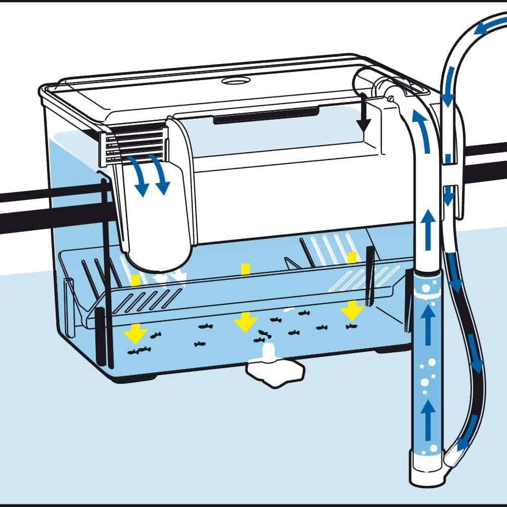 AMTRA SALA PARTO ESTERNA - immagine 7