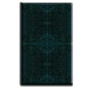 SPUGNA NERA RICAMBIO AMTRA NIAGARA 190 BIOCELL BLACK FOAM PCS 1