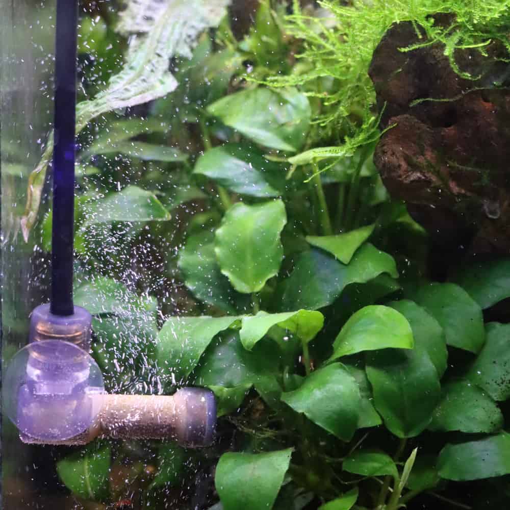 AMTRA CO2 DIFFUSER - immagine 3