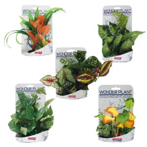 AMTRA WONDER PLANT SERIES “E” 15-25 cm