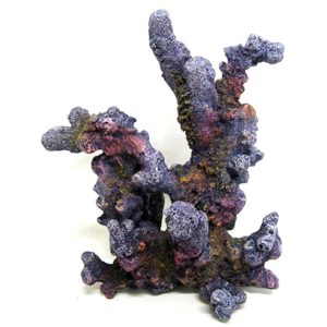 AMTRA REEF ROCK BRANCH SERIES MD 2