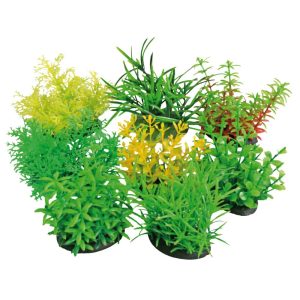 AMTRA TROPICAL PLANT 7 CM SERIES
