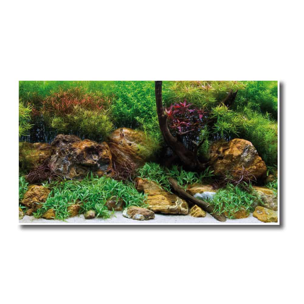 AMTRA SFONDO DOPPIO ADVENTURE - immagine 3