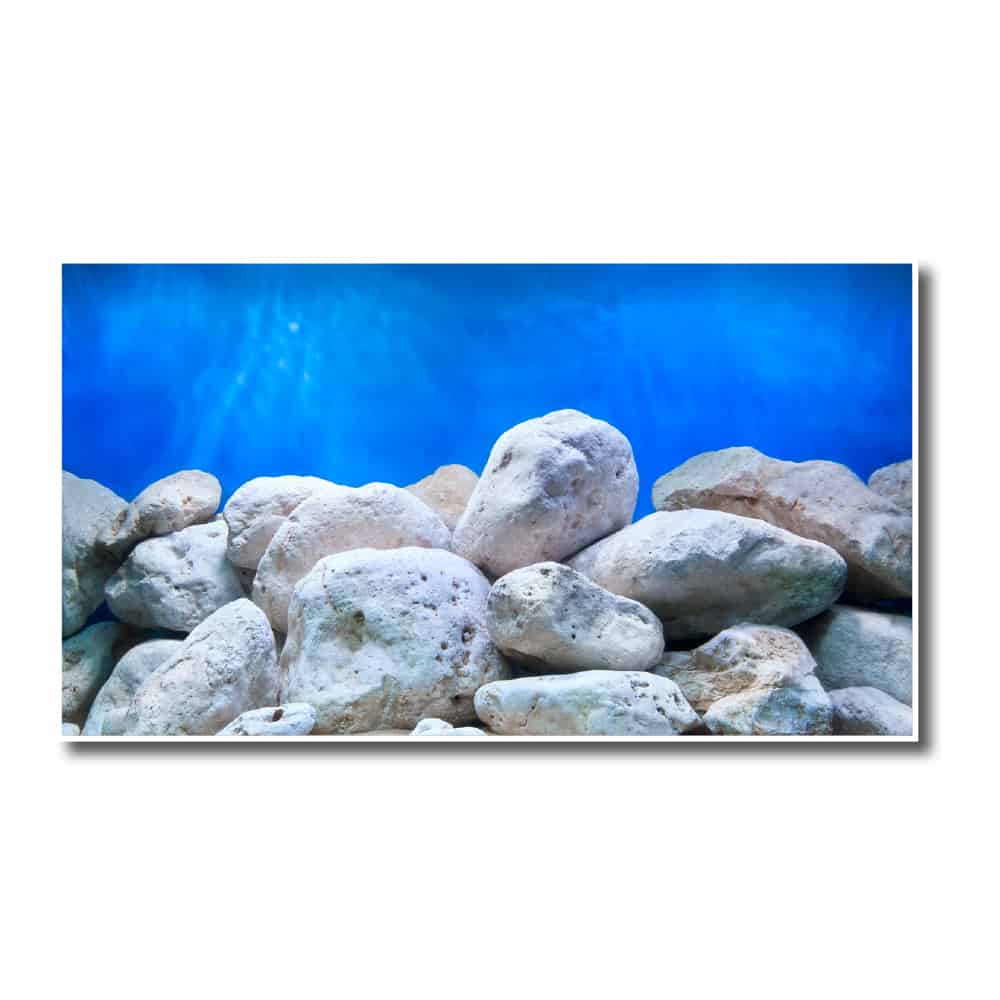 AMTRA SFONDO DOPPIO ADVENTURE - immagine 2