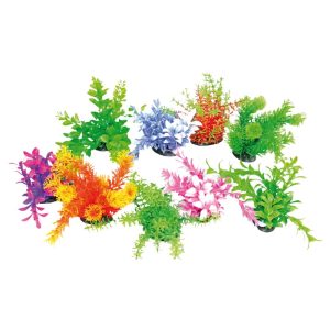 AMTRA TROPICAL PLANT 14-17 CM SERIES