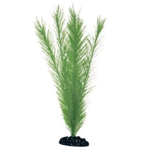 AMTRA PLANT CLASSIC BLYXA