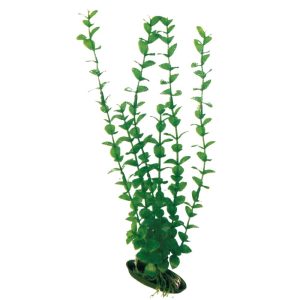 AMTRA PLANT CLASSIC ROTALA