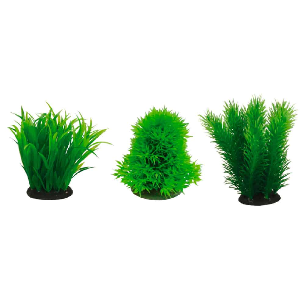 AMTRA JAPANESE SET 1 SERIES