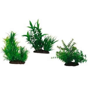 AMTRA JAPANESE SET 2 SERIES