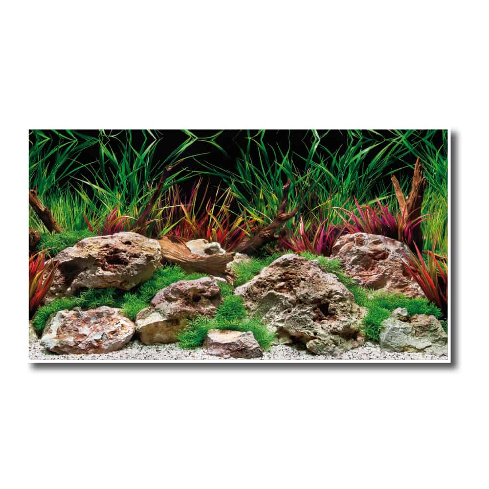 AMTRA SFONDO DOPPIO ESCAPE - immagine 3