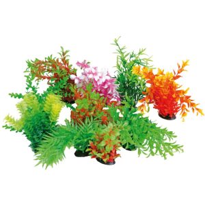 AMTRA TROPICAL PLANT 22-25 CM SERIES