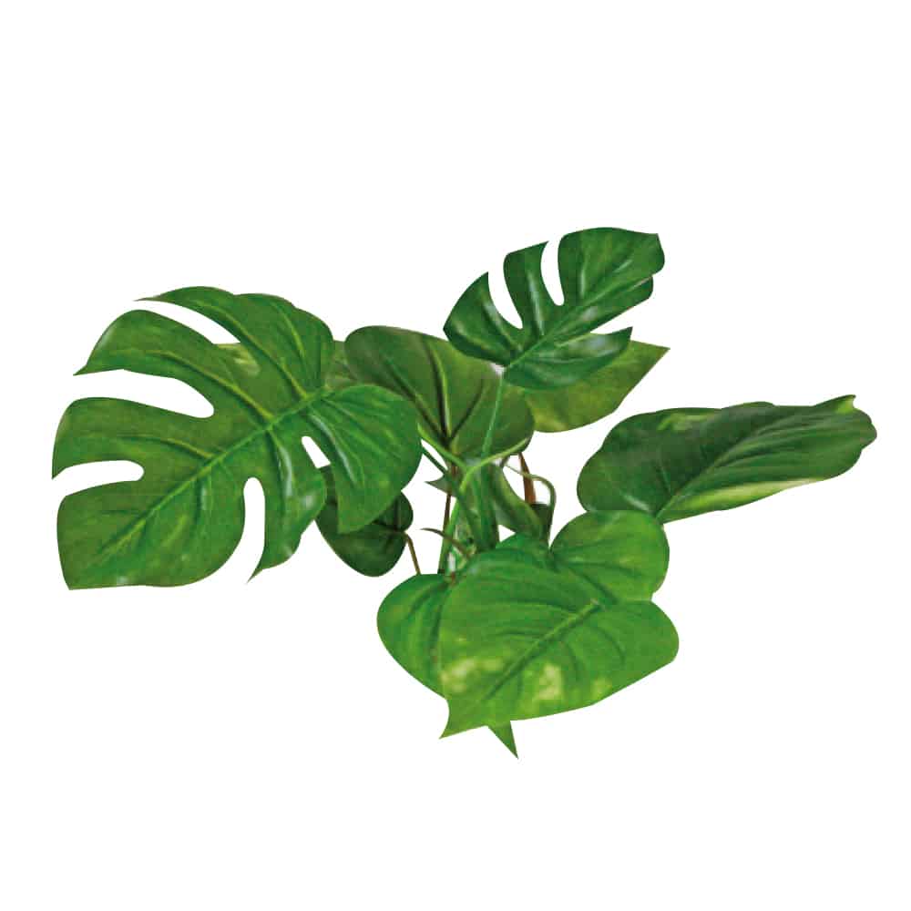 AMTRA PLANT REPLICA ANUBIAS 15CM - immagine 2