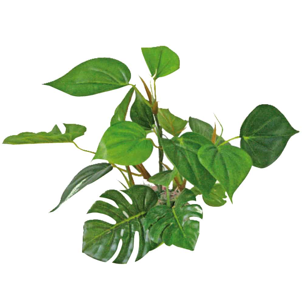 AMTRA PLANT REPLICA ANUBIAS 20CM