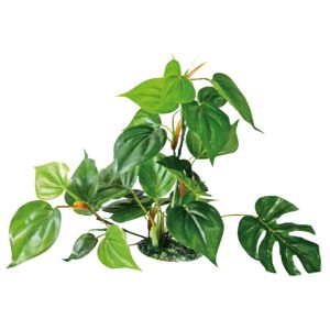 AMTRA PLANT REPLICA ANUBIAS 30CM