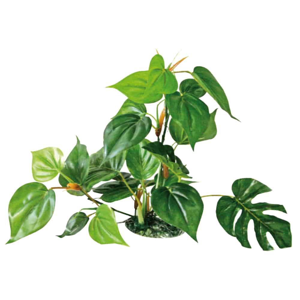 AMTRA PLANT REPLICA ANUBIAS 30CM