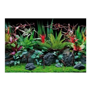 AMTRA SFONDO DOPPIO FLORA BLISTER 30×60 cm