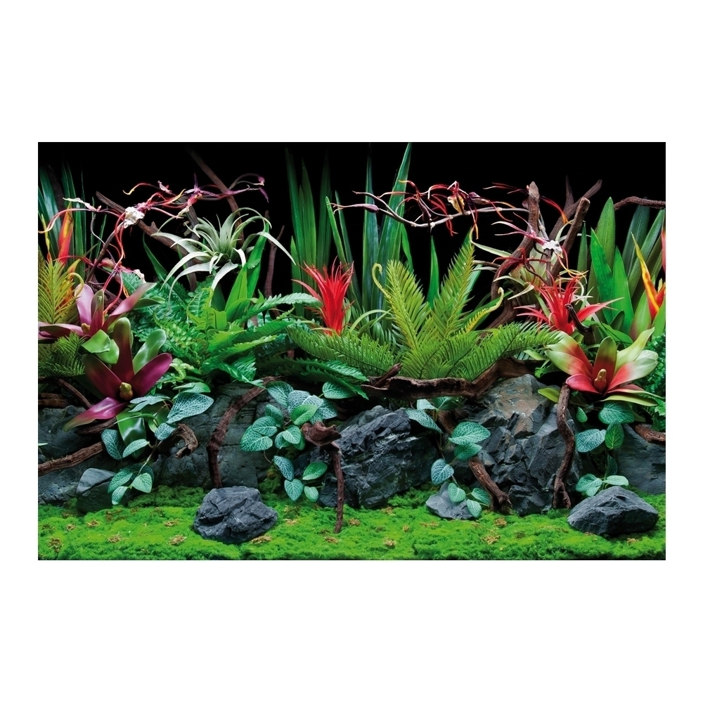AMTRA SFONDO DOPPIO FLORA BLISTER 30×60 cm - immagine 2